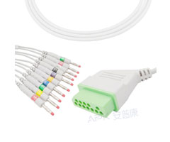 A4036-EE1 Nihon Kohden Compatible EKG Cable 12-pin Nihon Kohden Connectorr AHA Banana