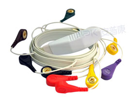 A1062-EC0 Mortara Compatible Hr12 ECG Holter Cable 10-Cable Snap IEC