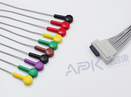 A55HEC10IK ECG Holter Cable 10-Cable Snap IEC